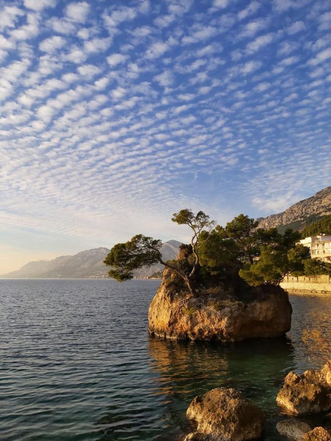 Gasthof Aurora Beachfront Luxury Rooms&suites Brela