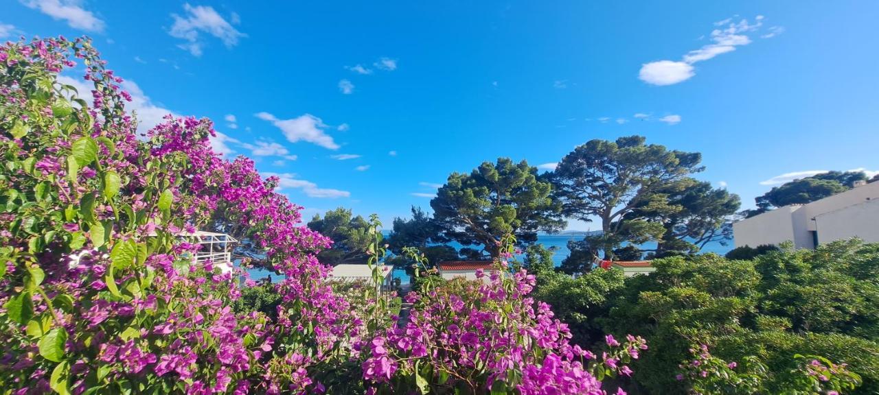 Aurora Beachfront Luxury Rooms&suites Gasthof 4*