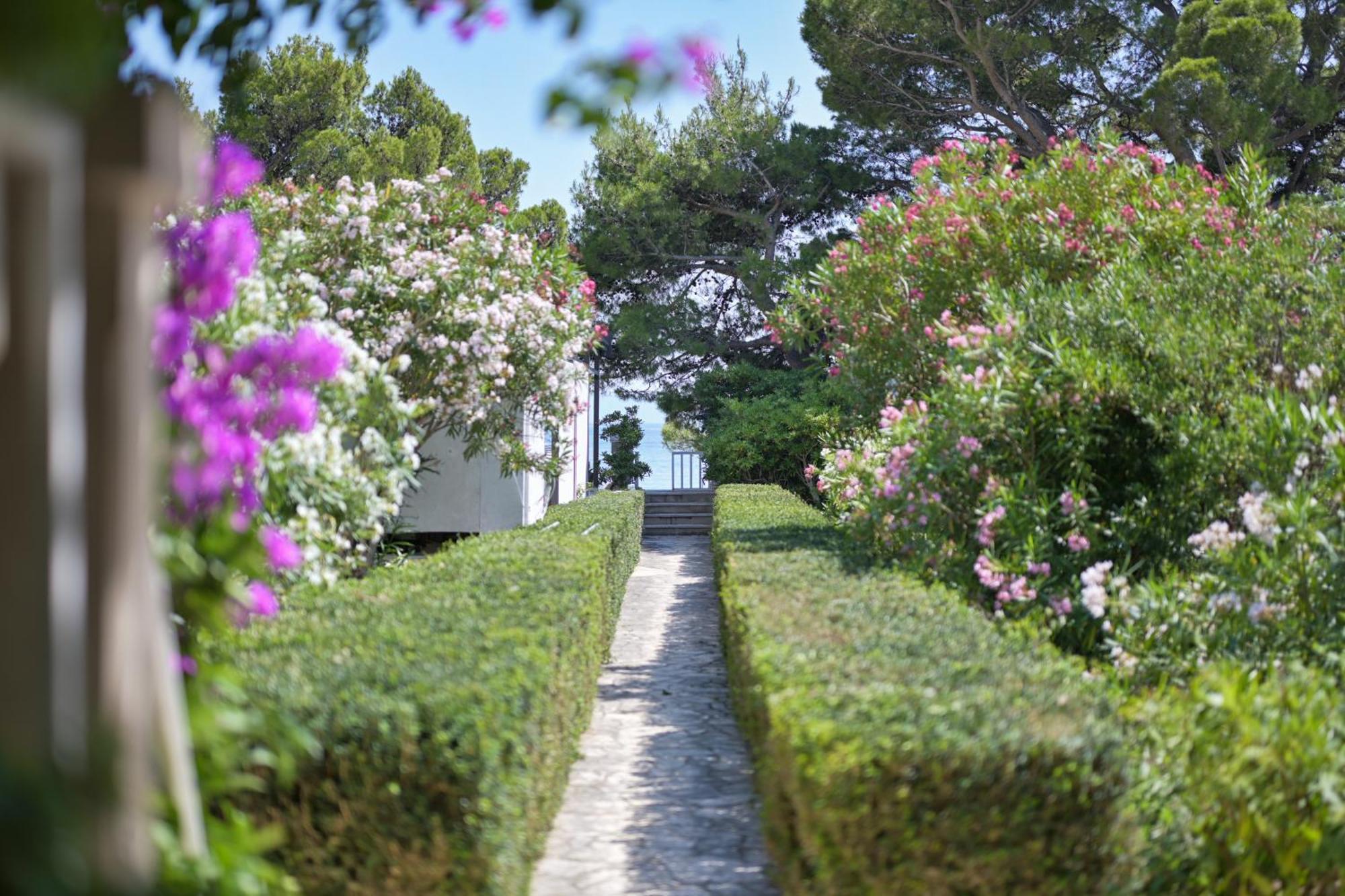 Aurora Beachfront Luxury Rooms&suites Gasthof 4*